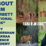 JIM CORBETT NATIONAL PARK