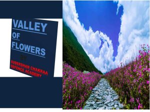 Read more about the article Valley of Flowers – A Heaven on Earth Hidden in the Himalayas
