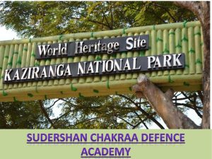 Read more about the article 🌿 काजीरंगा नेशनल पार्क – एक जीवित धरोहर