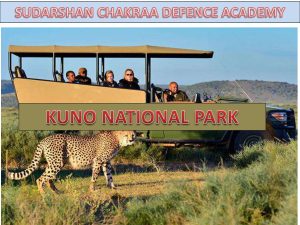 Read more about the article Kuno National Park: Home of the Cheetahs in India
